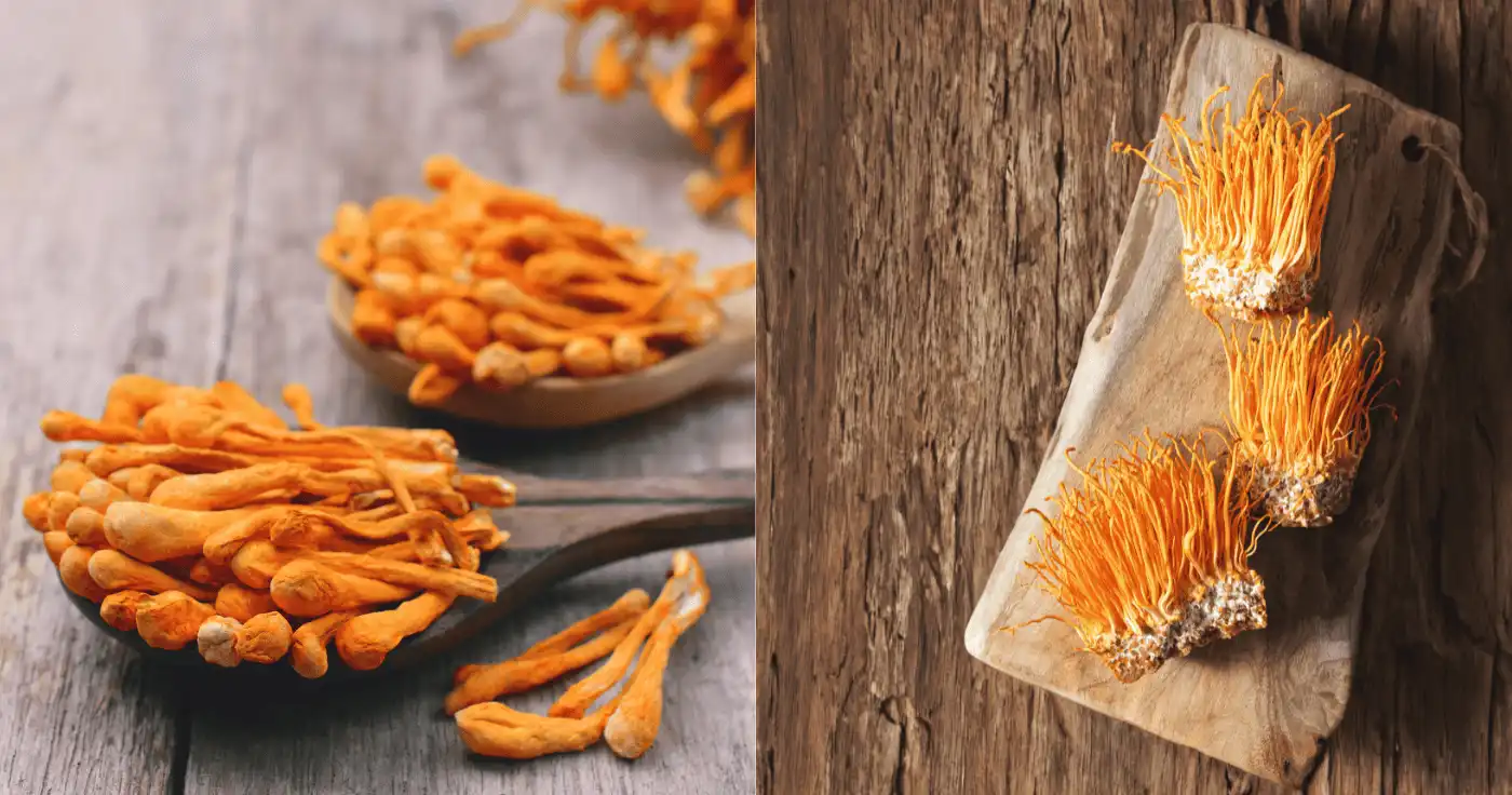 Strengthen Immunity Naturally with Cordyceps Mushroom Powder